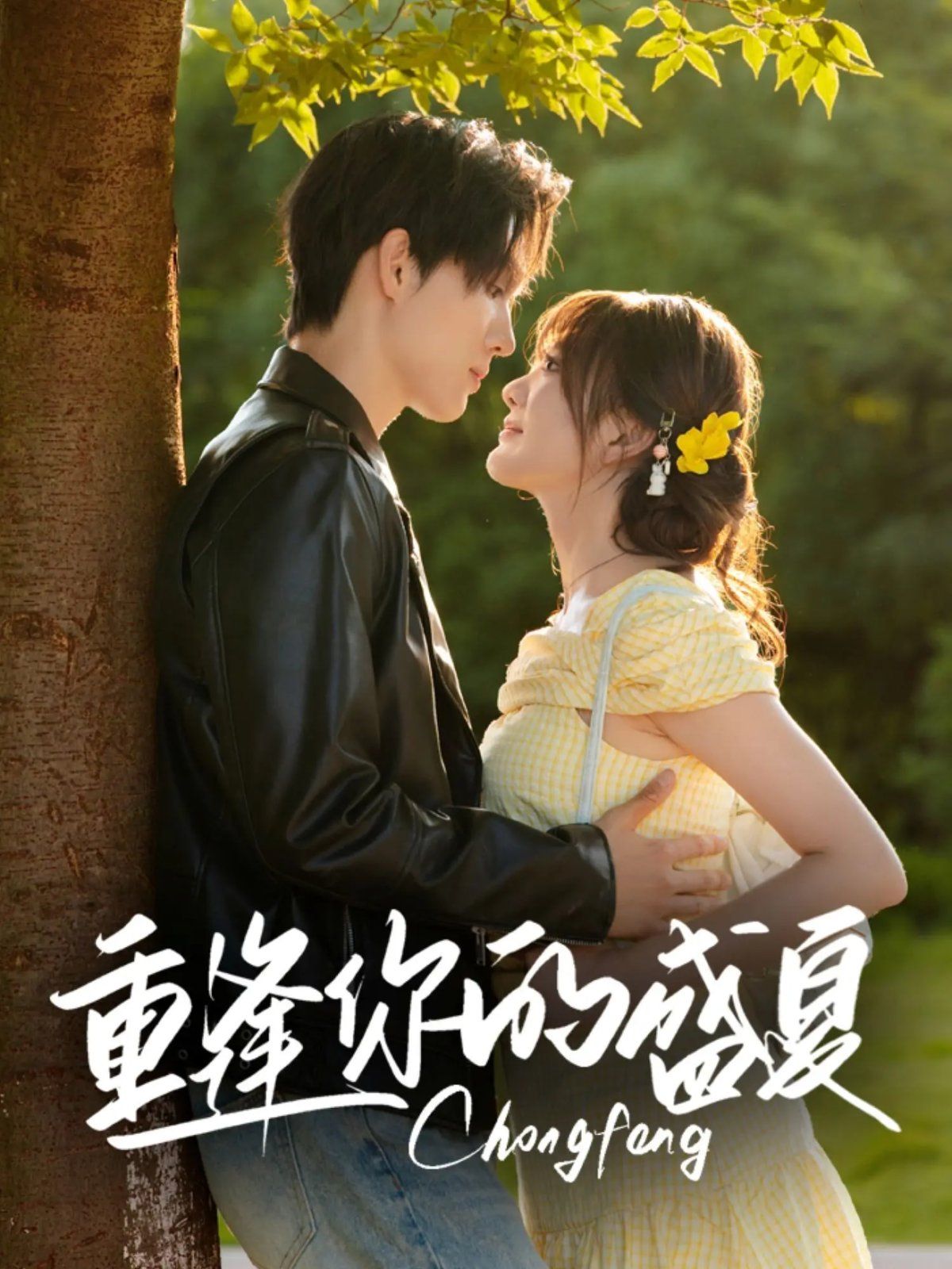 重逢你的盛夏}