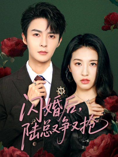 闪婚后陆总又争又抢}