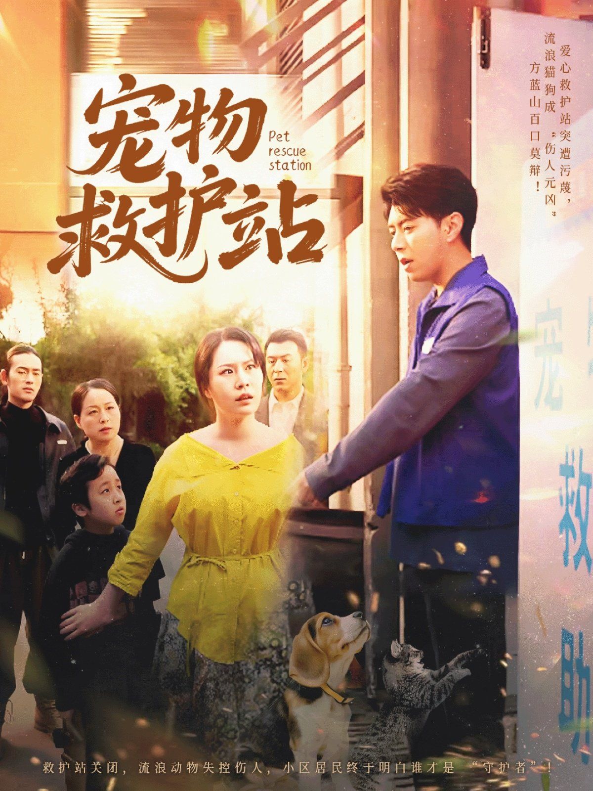 宠物救护站}