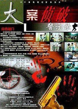 大案侦破警示录}