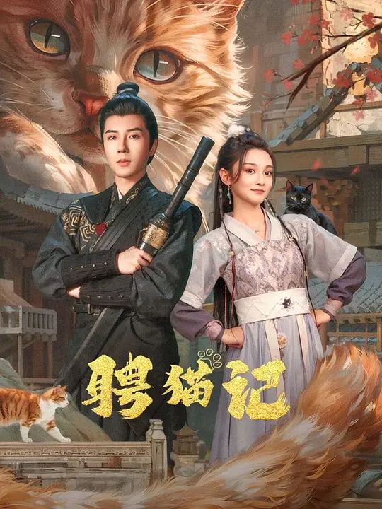 聘猫记}