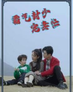霸气封少宠妻忙}