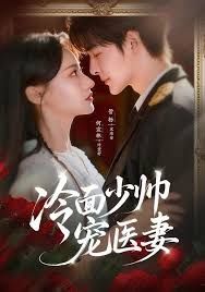 冷面少帅宠医妻}