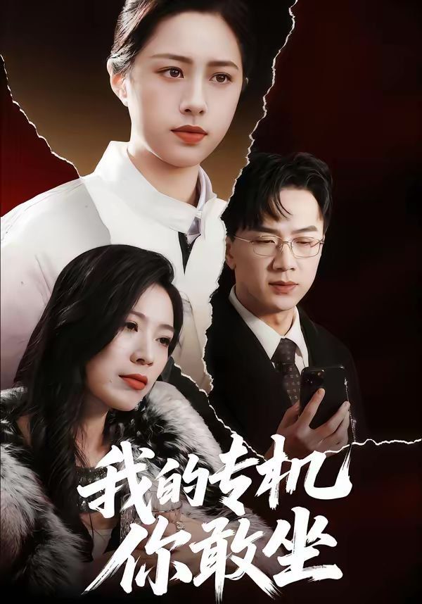 我的专机你敢坐}