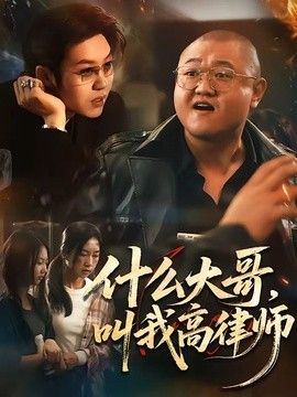 什么大哥，叫我高律师海报