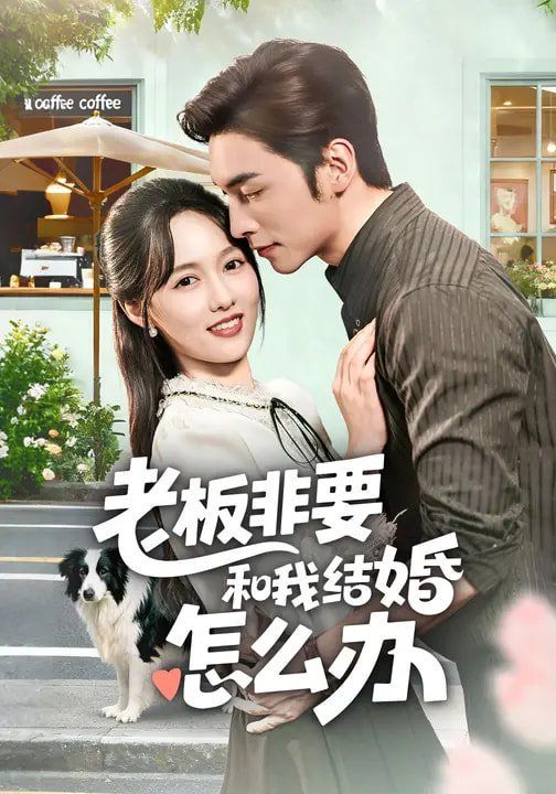 老板非要和我结婚怎么办}