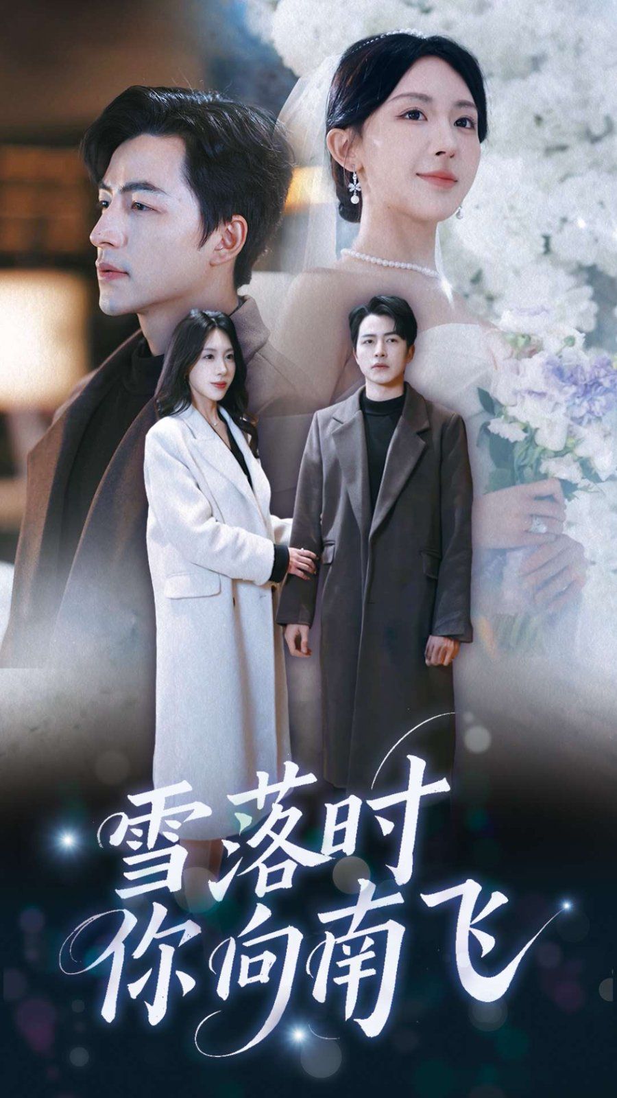雪落时你向南飞}