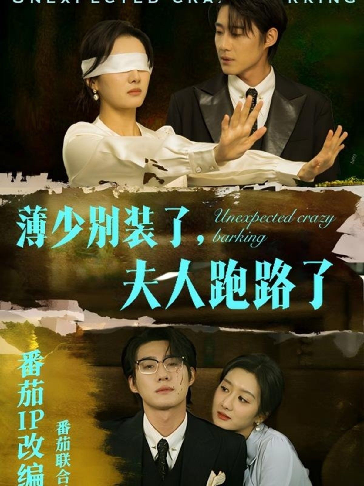 薄少别装了夫人跑路了}