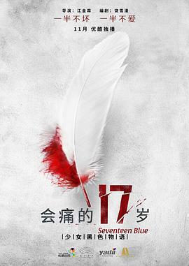 会痛的17岁}