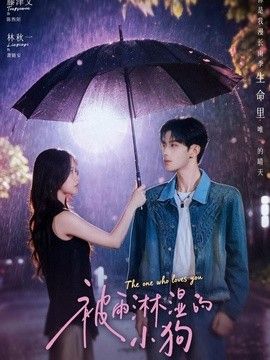 被雨淋湿的小狗