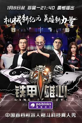 铁甲雄心第一季}
