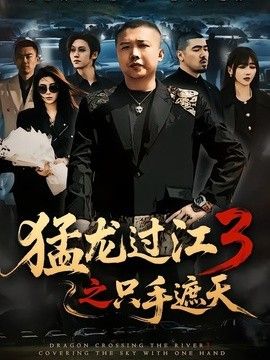 猛龙过江3之只手遮天