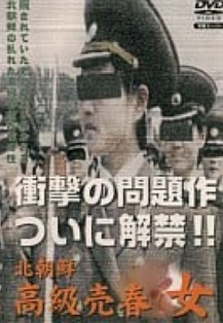 北朝鮮高級売春女}