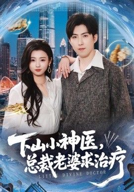 下山小神医，总裁老婆求治疗}