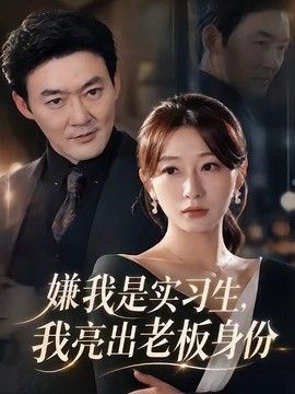 嫌我是实习生，我亮出老板身份电视剧海报