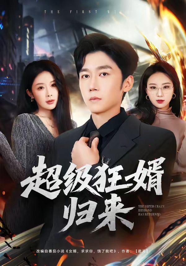 超级狂婿归来}