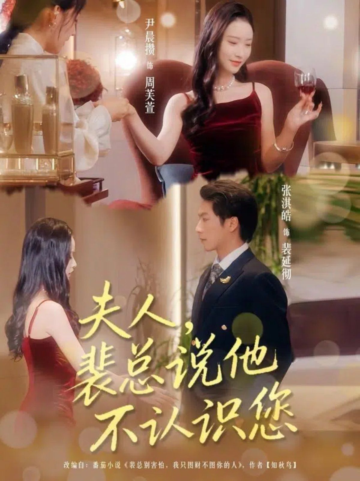 夫人裴总说他不认识您}