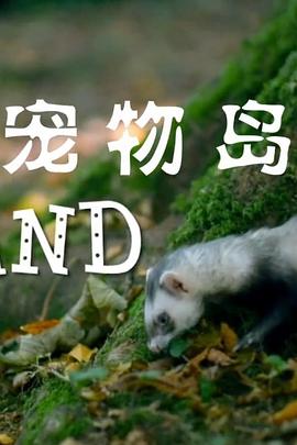 宠物岛}