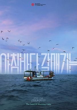 晨海的海鸥}