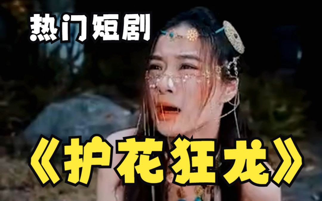 护花狂龙}