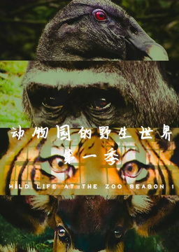 动物园的野生世界 第一季}