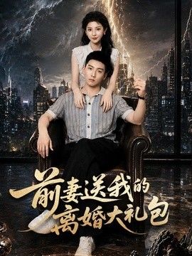 前妻送我的离婚大礼包电视剧海报