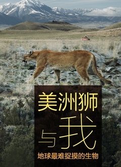 美洲狮与我}