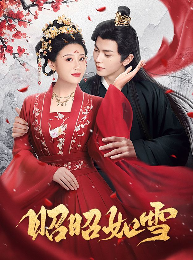 昭昭如雪}