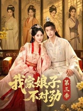我家娘子，不对劲第三季