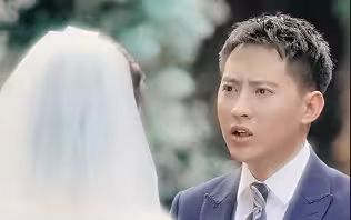逆袭刘公子归来}