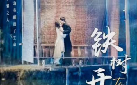 铁树开花}