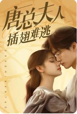 唐总夫人插翅难逃}