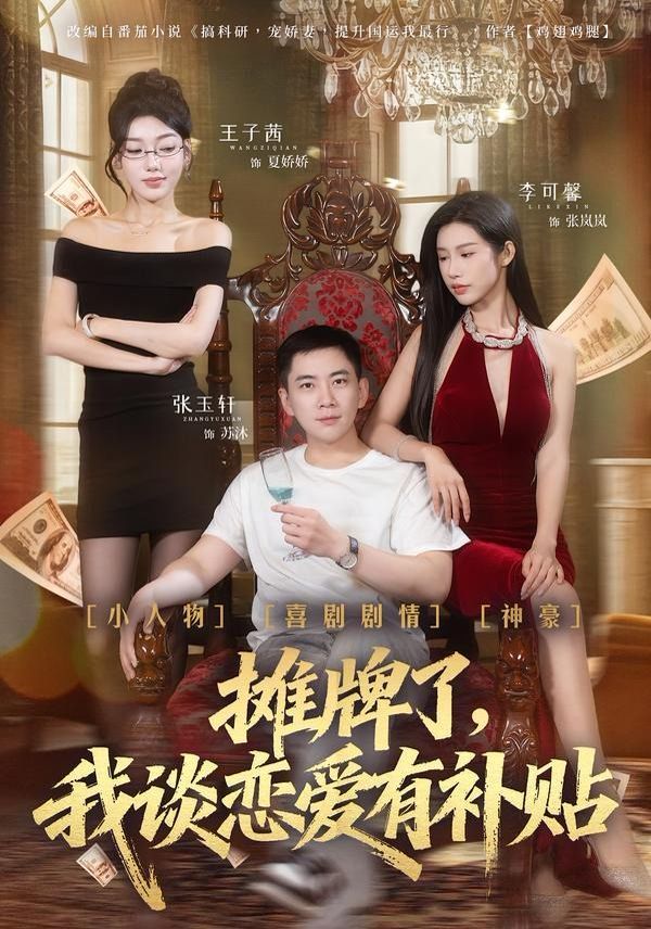 摊牌了，我谈恋爱有补贴}