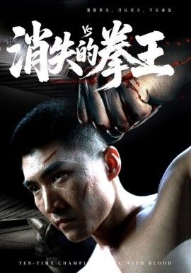 消失的拳王}