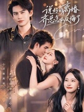 说好的离婚齐总怎么反悔了