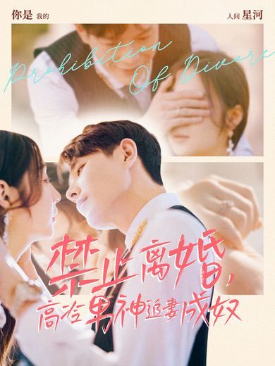 禁止离婚，高冷男神追妻成奴}