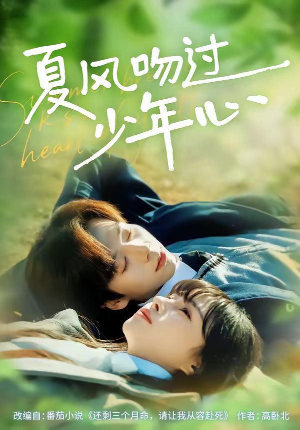 夏风吻过少年心}