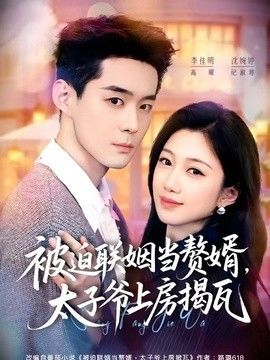被迫联姻当赘婿，太子爷上房揭瓦}