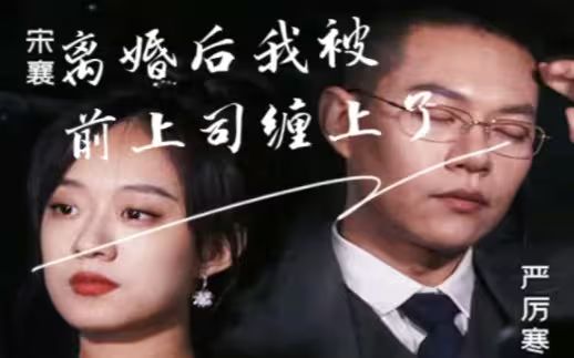 离婚后我被前上司缠上了}