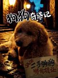 狗狗奇遇记}