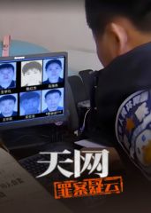 天网：罪案疑云}