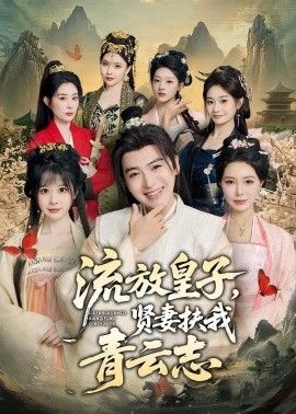 流放皇子，贤妻扶我青云志}