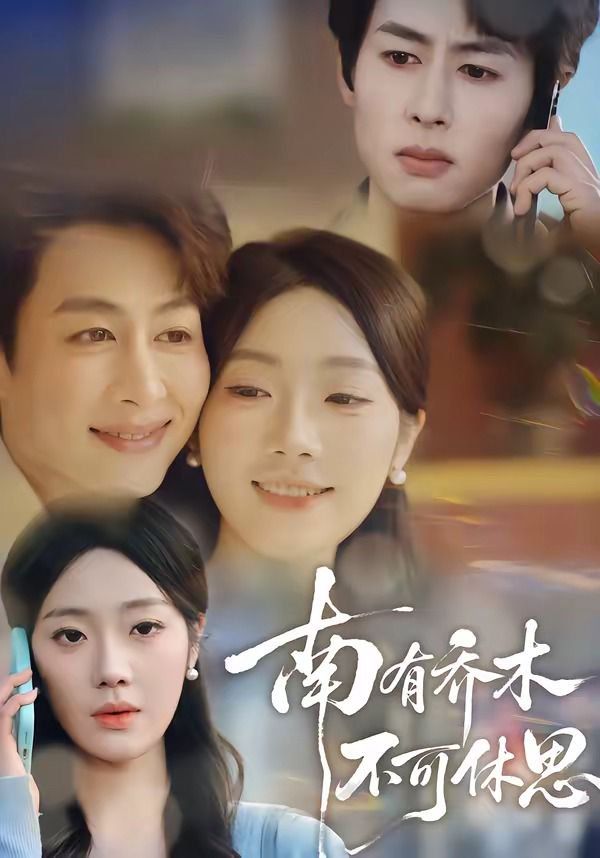 南有乔木，不可休思}