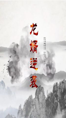 龙婿逆袭}