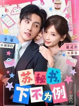 苏秘书，下不为例}