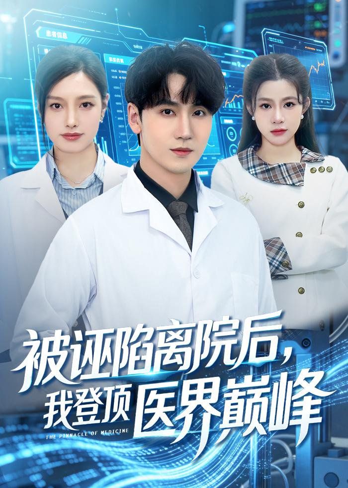被诬陷离院后，我登顶医界巅峰}