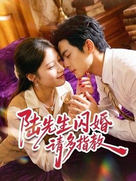陆先生闪婚请多指教}