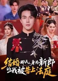 结婚那天，身为新郎的我被告上法庭}