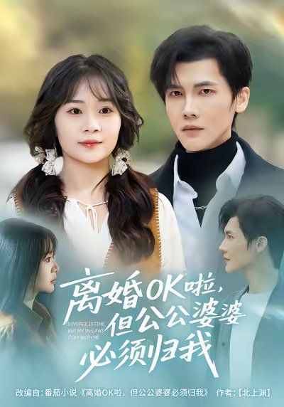 离婚OK啦，但公公婆婆必须归我}