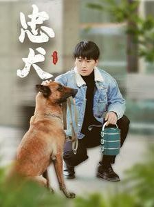 忠犬}